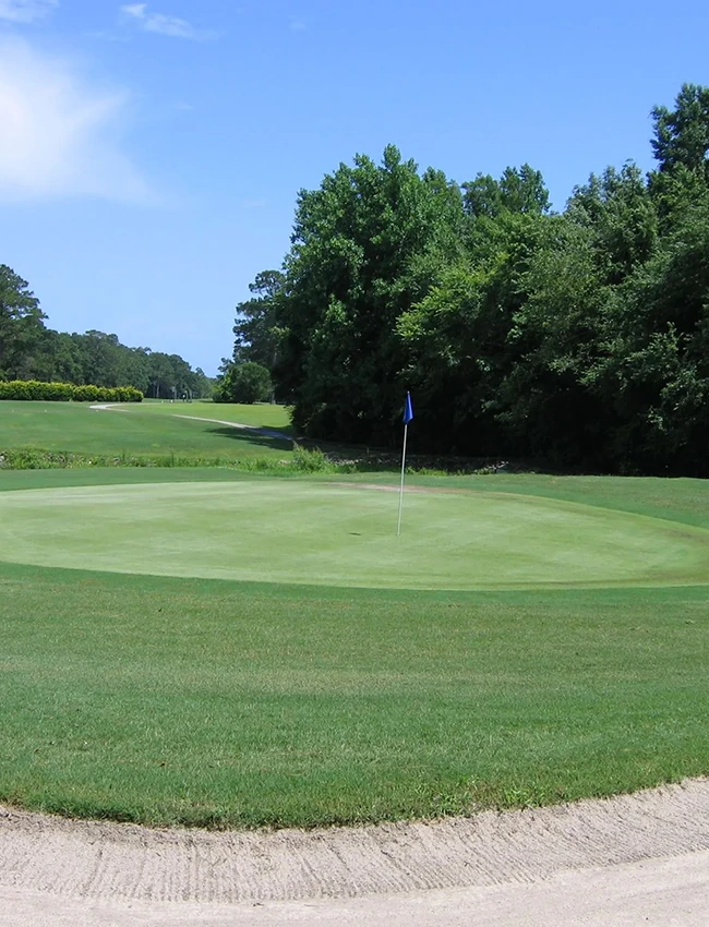 OldePointCC Gallery Course